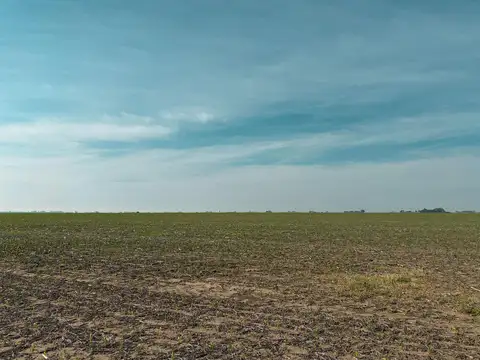 Campo de 35 has sobre ruta con gran potencial productivo
