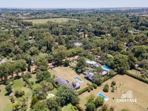 Lisandro de la Torre 400