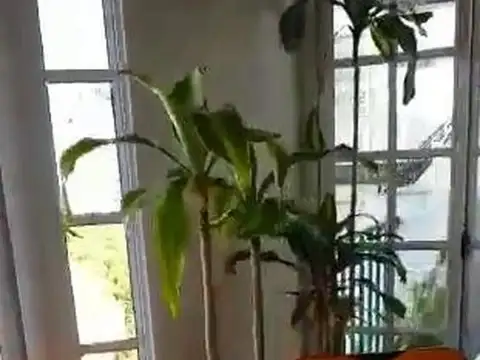 Departamento en alquiler temporario