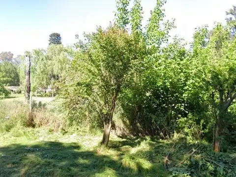 Lote grande 2978 m2 a 2 minutos de la estación de Moreno