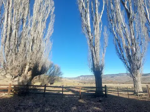 Campo Alumine ruta 23