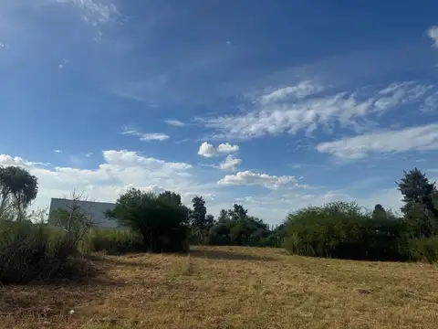 de la barranca
