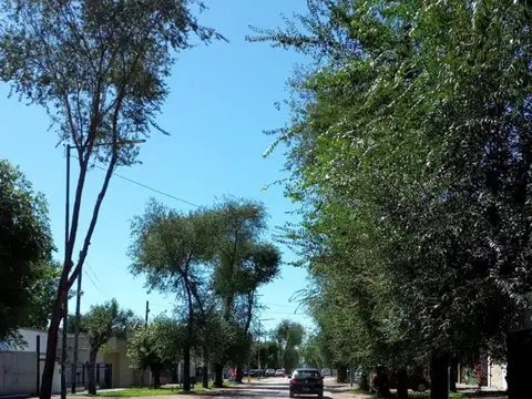 Mario Bravo Y Laprida Domselaar