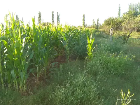 Campo - San Rafael