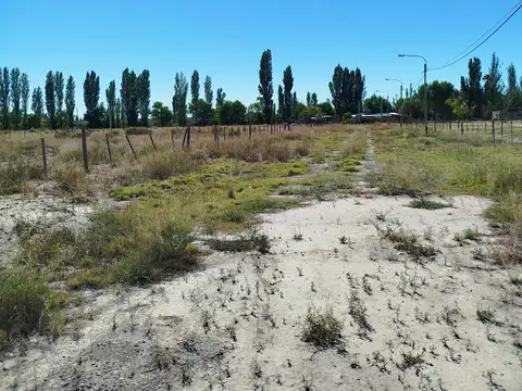 Lote 2.035 m² en Rama Caída – A metros de Ruta 173 – USD 15.000