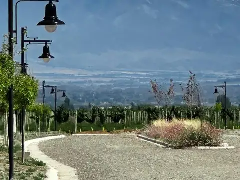 Terreno en Venta en Tupungato, USD 25.000