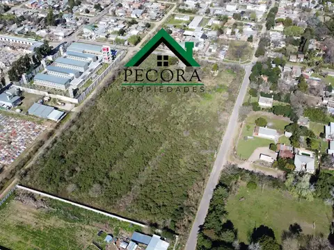 Campo 2,46ha - Terreno - Escobar - Tiziano entre Las Heras y San Lorenzo.