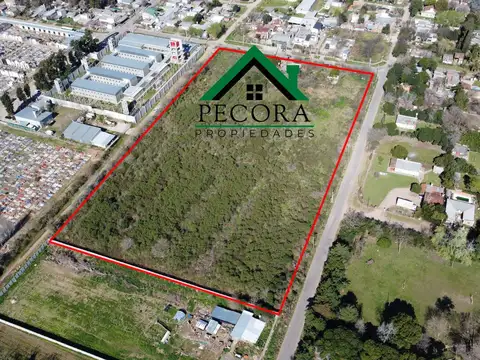Campo 2,46ha - Tiziano entre Las Heras y San Lorenzo - Escobar