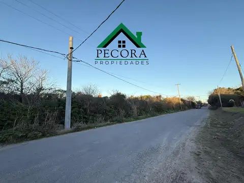 Campo 2,46ha - Tiziano entre Las Heras y San Lorenzo - Escobar