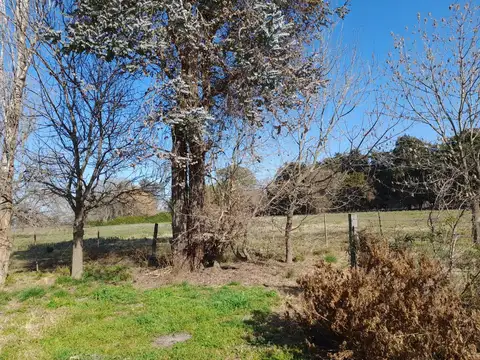 Casa en Alquiler al Este