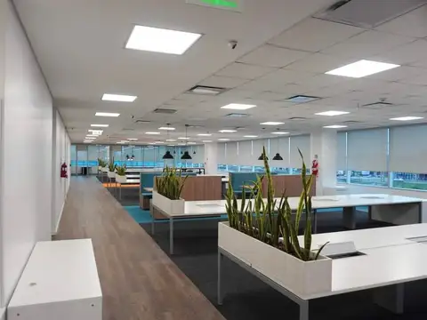 Alquiler oficina 1000 m2 Panamericana | Lumina Thames