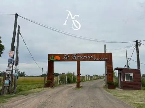 Ruta 6 al 123400