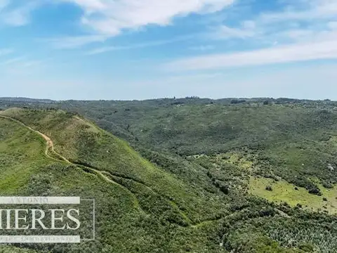 Campo de 151ha  en las sierras de Maldonado