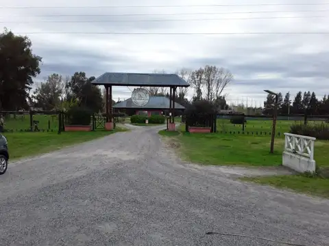 Avenida Valeria de Crotto