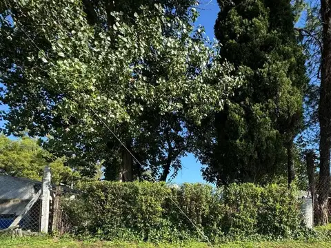 Lisandro De La Torre 100