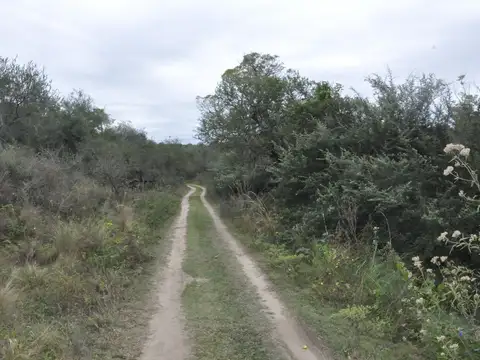 Terreno en Venta de 410,0 m2