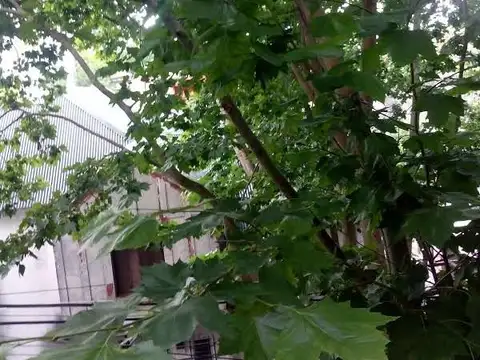 Departamento en Alquiler al Norte