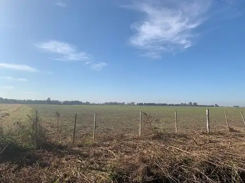 CAMPO ZONA RURAL SOLDINI 6HAS  AGRICOLAS