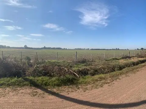 CAMPO ZONA RURAL SOLDINI 6HAS  AGRICOLAS