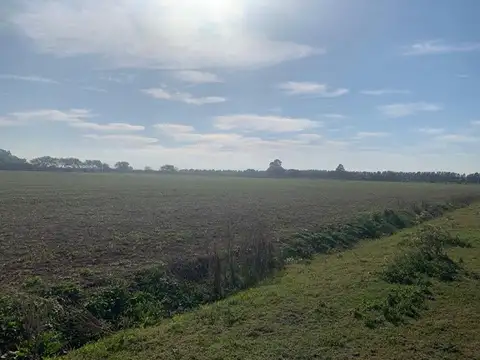 Campo en Venta de 6  ha