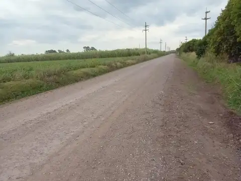 Campo en Venta Agrícola