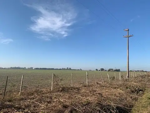 Campo en Venta de 6  ha