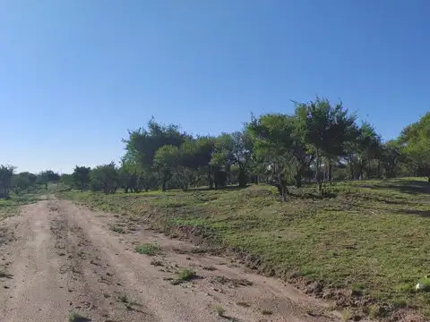 Terreno en Venta 40  mts Fondo
