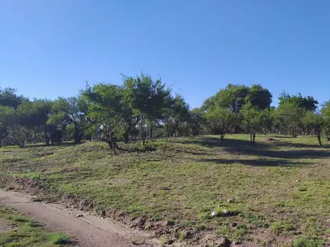Ruta 1 300