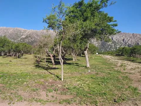 Terreno en Venta, FOS 20