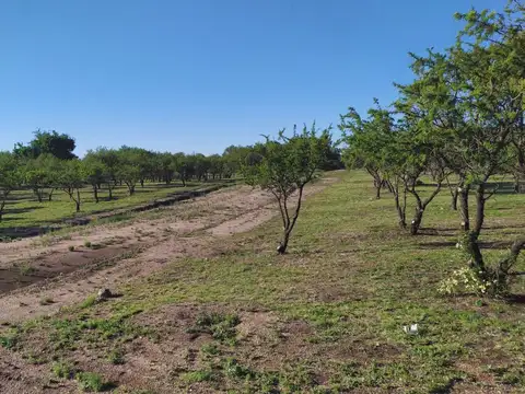 Terreno en Venta 22  mts Frente