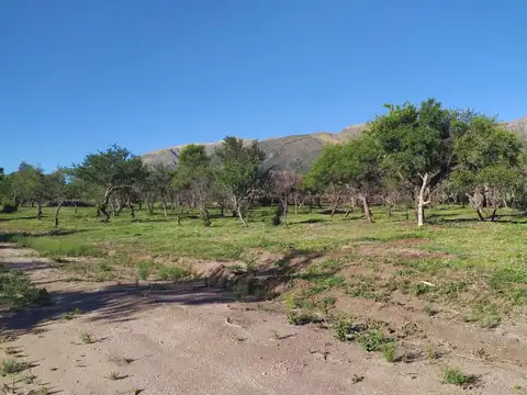 Terreno en Venta en Zona Dique Piscu Yaco, $ 5.000.000