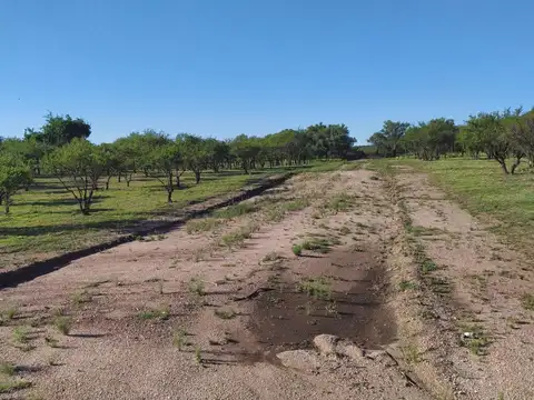 Terreno en Venta de 880,0 m2