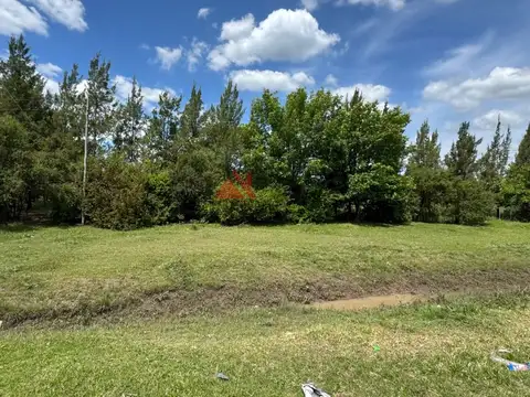 Ruta 192 - Exaltación de la Cruz. 100