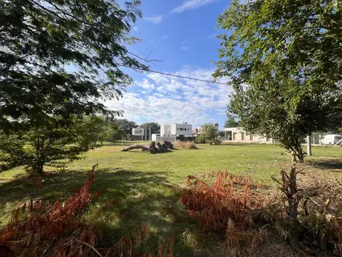 LOTES EN VENTA SAN CARLOS, LA PLATA 149  y 42,  La Plata - 9.85 x 28.0m