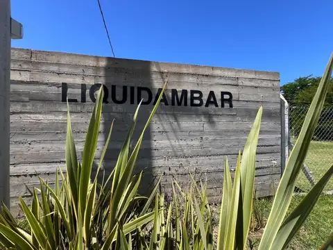 Lotes en San Carlos, La Plata. Calle 149 a 150 e/ 41  y 42  Barrio Liquidámbar