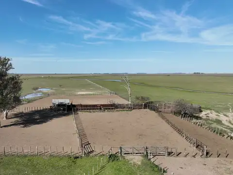 2707 Has Campo en Gualeguaychú