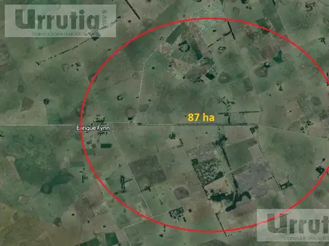 Campo en venta, Enrique Fynn 