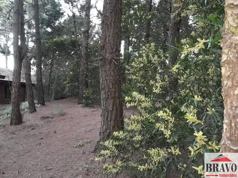 Terreno / Lote en venta de 600m2 ubicado en Mar de las Pampas