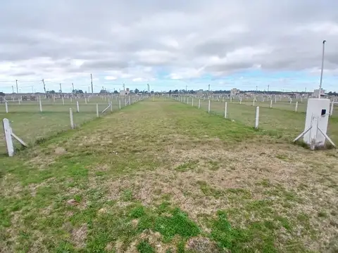 Terreno en Venta en Domselaar, Partido de San Vicente