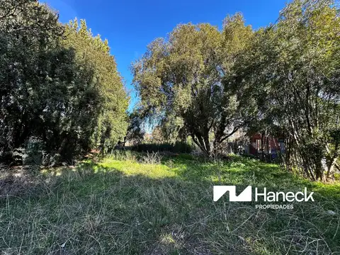 Terreno en Venta 20  mts Fondo