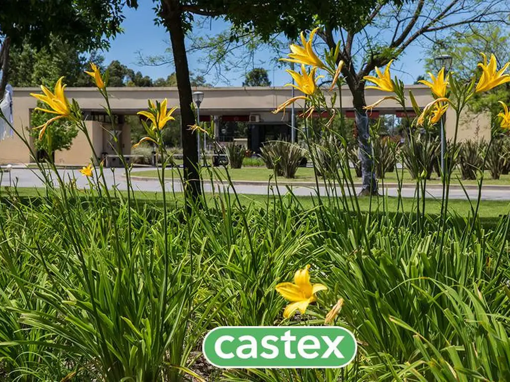 Terreno en Venta en Terravista