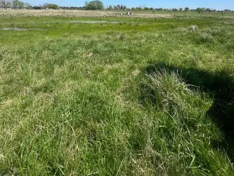 Terreno en Venta 100  mts Fondo