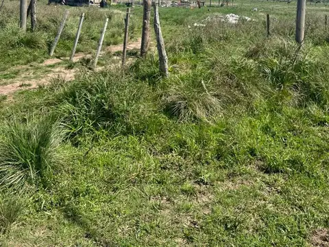 Chajari 100