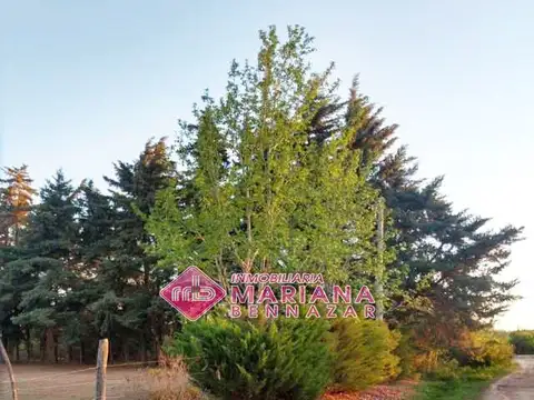 Terreno en Venta de 1250,0 m2