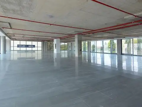 Oficina en Alquiler con 14 cocheras