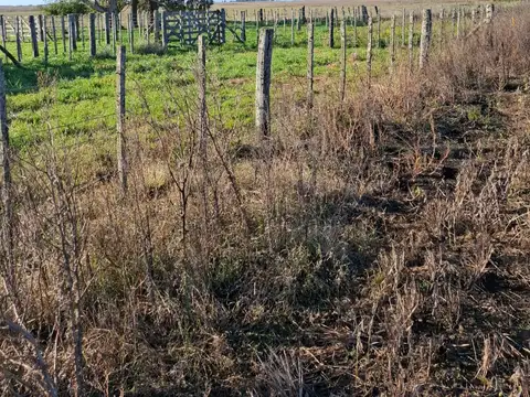 VENTA CAMPO- GENERAL MADARIAGA-KM 20 DE RUTA 74 CAMPO INTERNO-DOBLE PROPOSITO