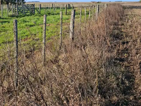 VENTA CAMPO- GENERAL MADARIAGA-KM 20 DE RUTA 74 CAMPO INTERNO-DOBLE PROPOSITO
