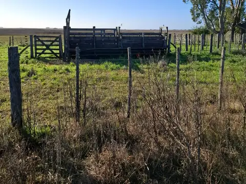 ruta 74  KM 20