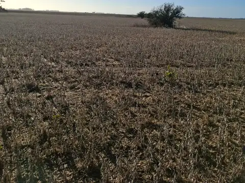 Campo en Venta con Alambrado