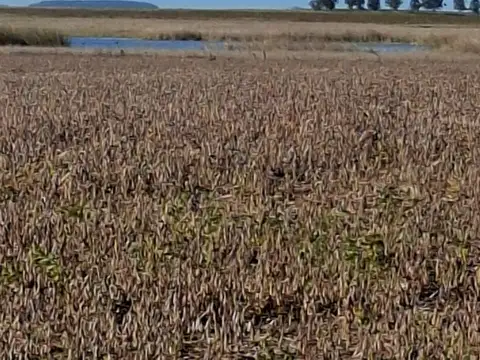 Campo en Venta Mixto